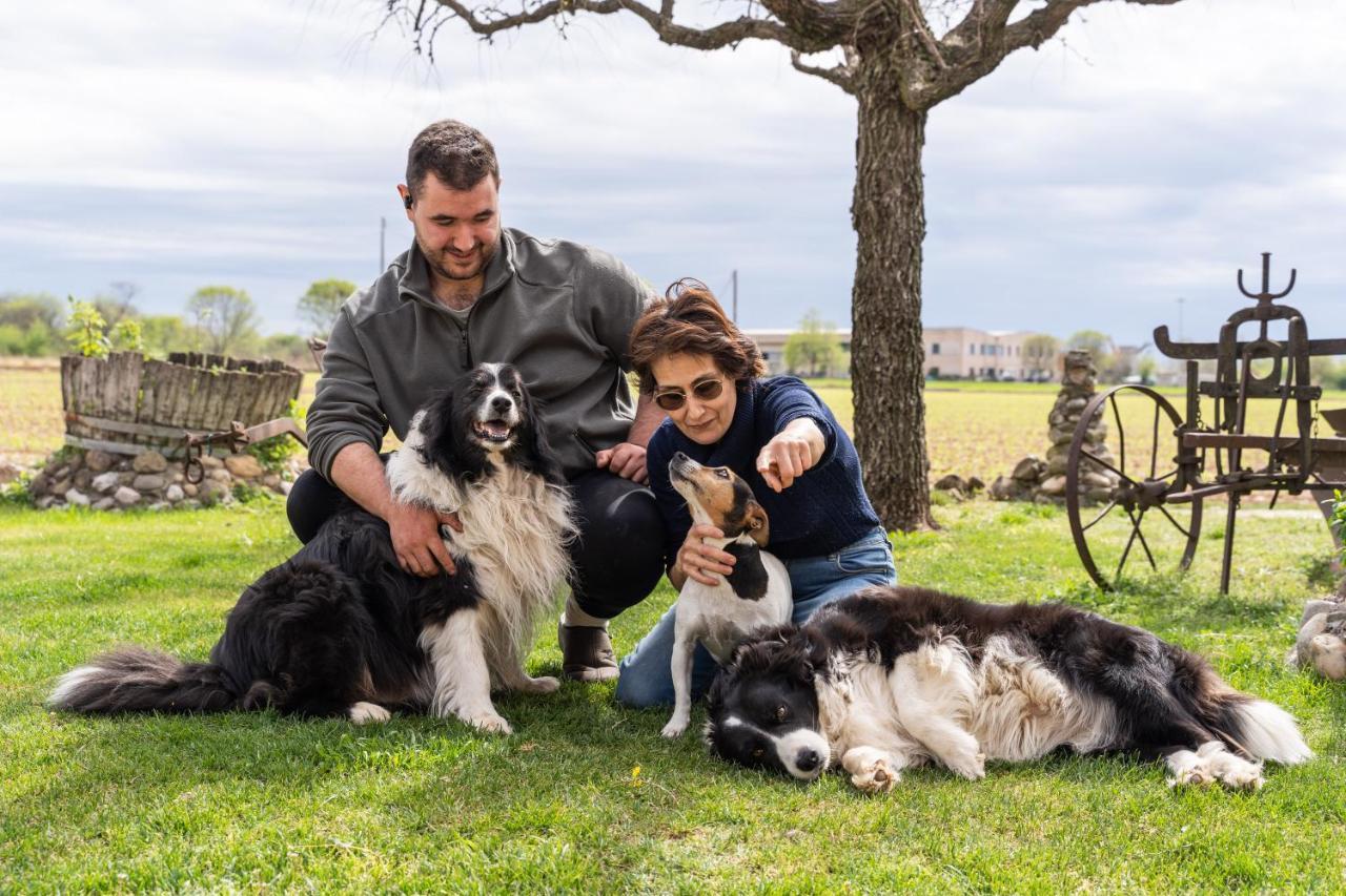 Agriturismo Pozzo Fiorito Кастільйоне-делле-Стів'єре Екстер'єр фото