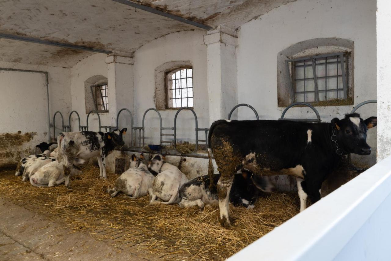 Agriturismo Pozzo Fiorito Кастільйоне-делле-Стів'єре Екстер'єр фото